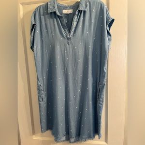 Distressed Jean Dress